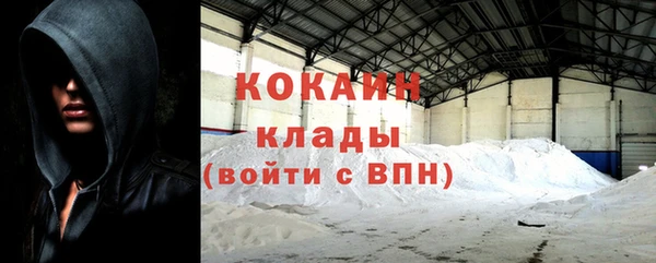 амф Богданович