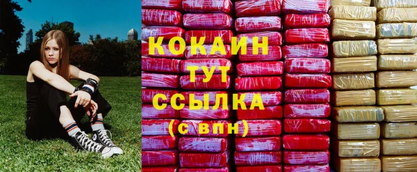 apvp Богородицк