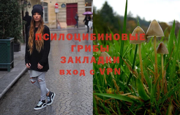 амф Богданович