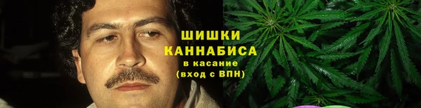 apvp Богородицк