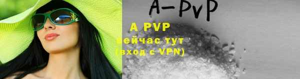 apvp Богородицк